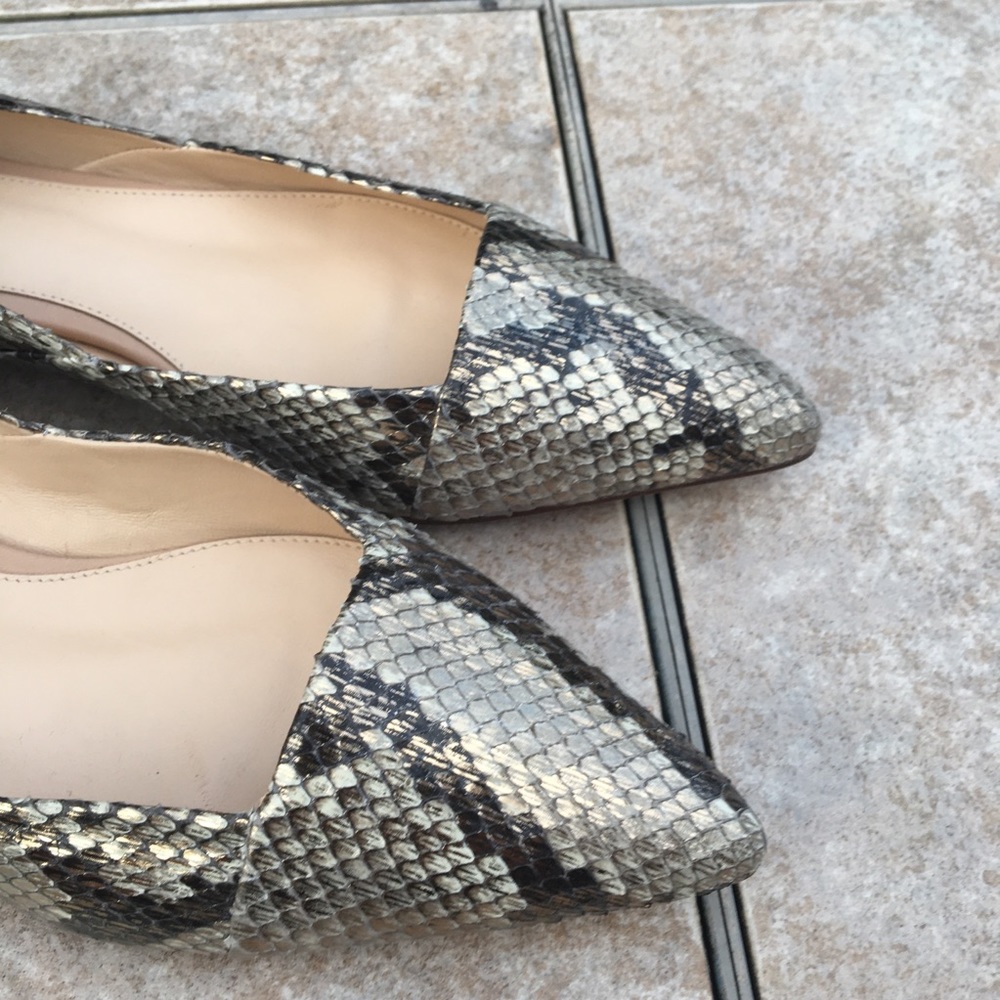 Alexander Birman Python Snake Metallic Flats - image 4